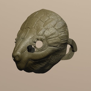 May include: A green turtle mask with a textured surface and two eye holes. The mask has a strap on the side.