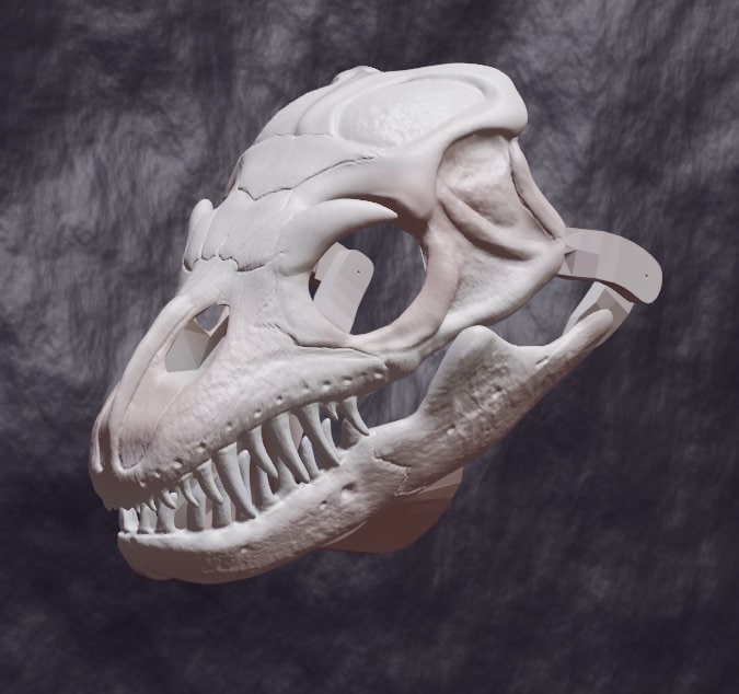 Crocodile Monitor Skull Mask .STL files for 3D printing