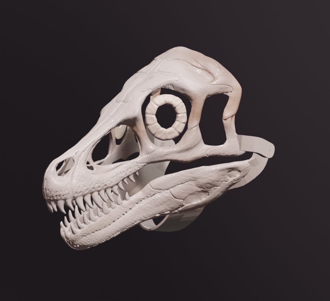 Velociraptor Skull Mask .STL Files for 3D Printing - Etsy