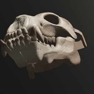 Entelodont Skull Mask .STL Files for 3D Printing - Etsy