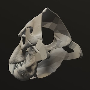 Elephant Seal Skull Mask .STL files for 3D printing image 4