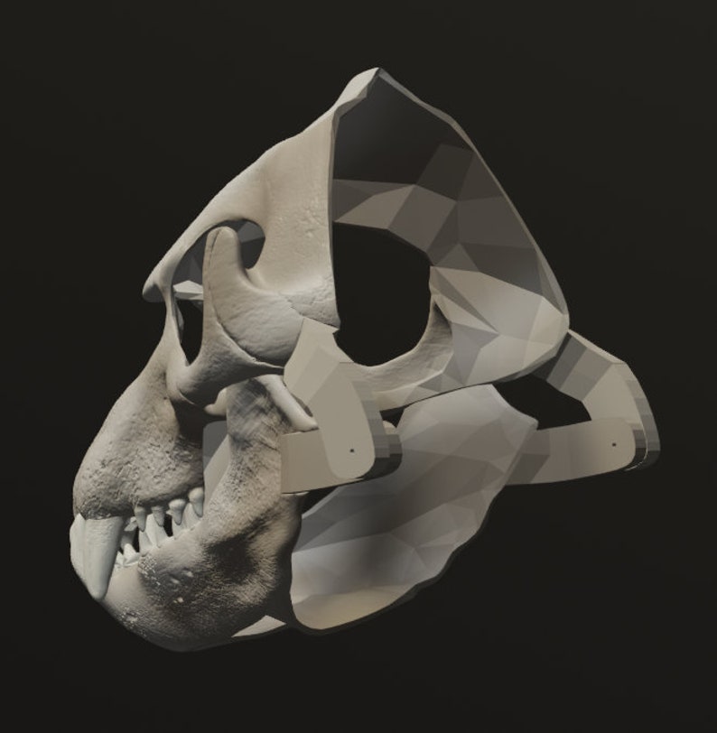 Elephant Seal Skull Mask .STL files for 3D printing image 4