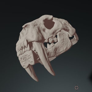 Smilodon Skull V2 mask .stl archivos para impresión 3D