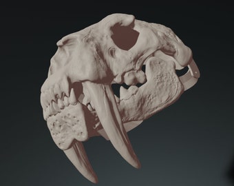 Smilodon Skull  V2 mask .stl files for 3D printing