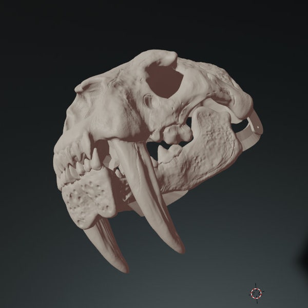 Smilodon Skull  V2 mask .stl files for 3D printing