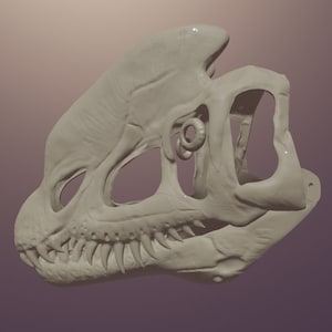 Dilophosaurus Skull Mask .stl files for 3D printing