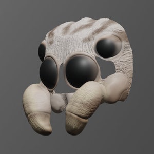 Jumping Spider Mask .STL Dateien für den 3D Druck