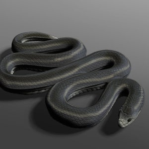 Garter Snake figurine STL file for 3D Printing