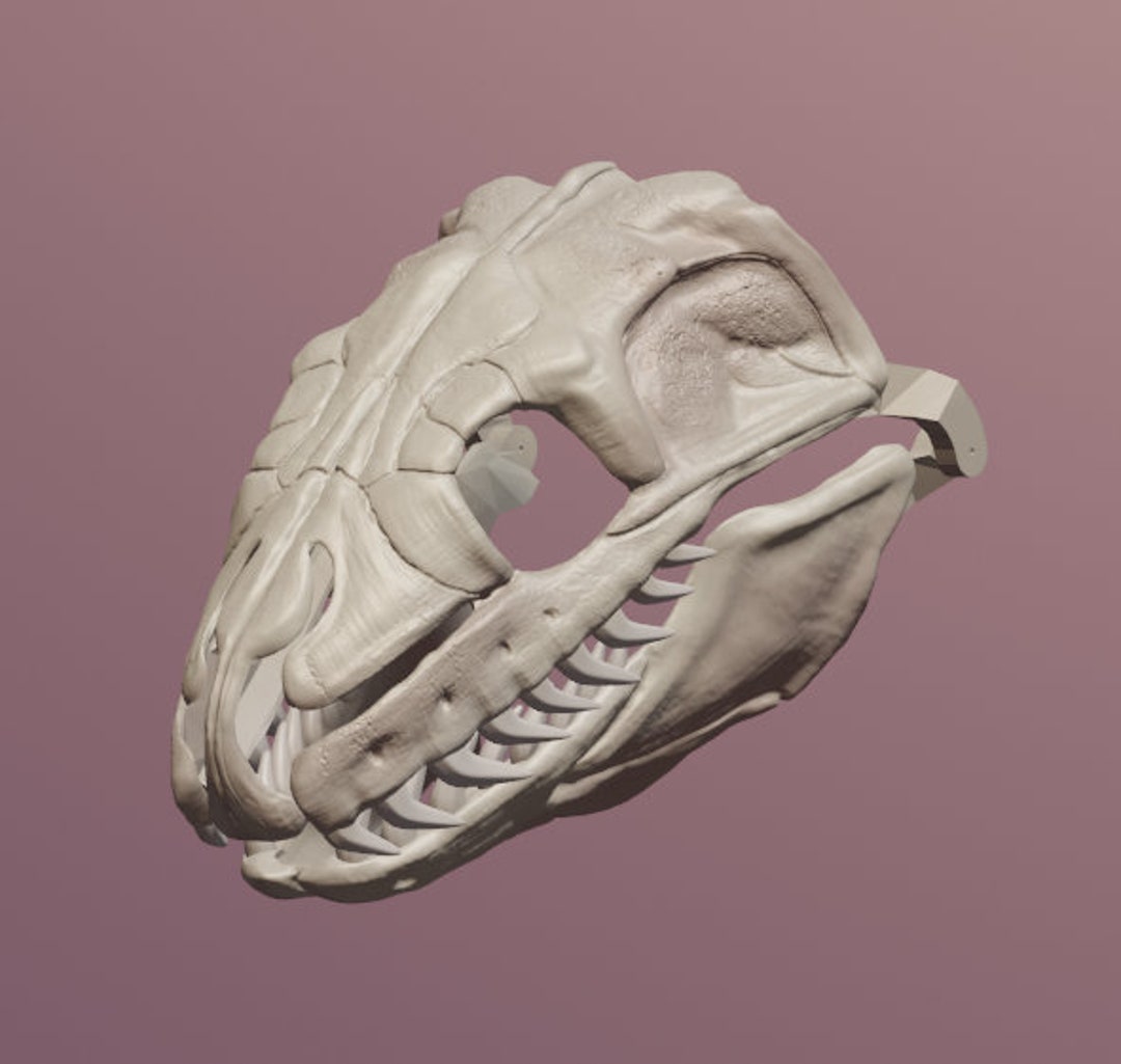 Burmese Python Skull Mask .STL Files for 3D Printing - Etsy