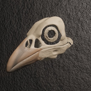 Crow Skull Mask .STL files for 3D printing