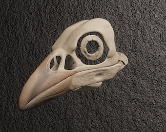 Masque de crâne de corbeau . Fichiers STL pour l’impression 3D