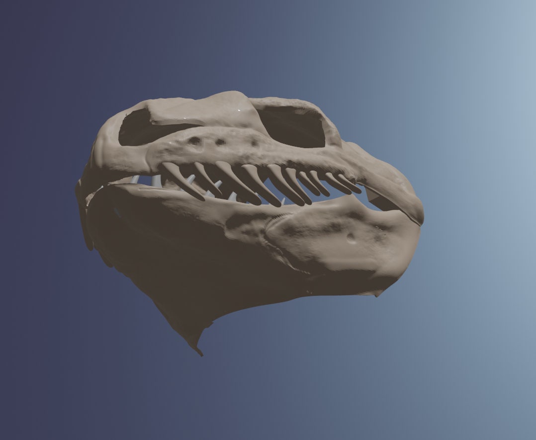 Ball Python Skull Mask .STL Files - Etsy