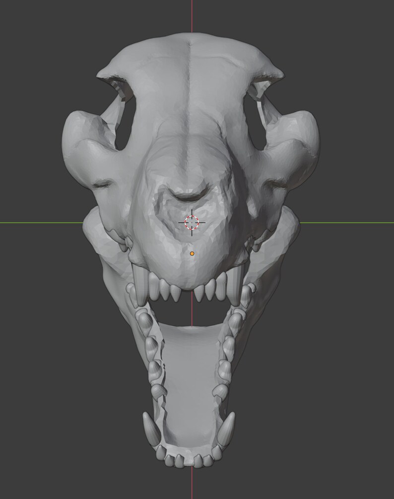 Dire Wolf Skull 3D Model Files | Etsy UK