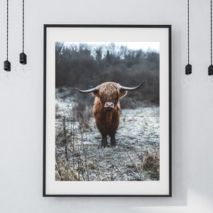 Highland Cow Winter Print, Scottish Highlands | Scotland Landscape Photo, Scottish Outdoors Travel, Highland Coo, Unframed Wall Art