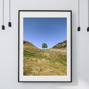 Sycamore Gap, Northumberland Print | Northumberland Photo, UK Outdoors Travel, Wall Art, England Gift, UK Souvenir, Northumberland Gift