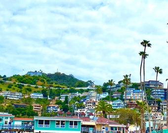 Catalina Island photo print - original - limited edition - California - Pacific Ocean - beach - nautical - blue skies - bright houses