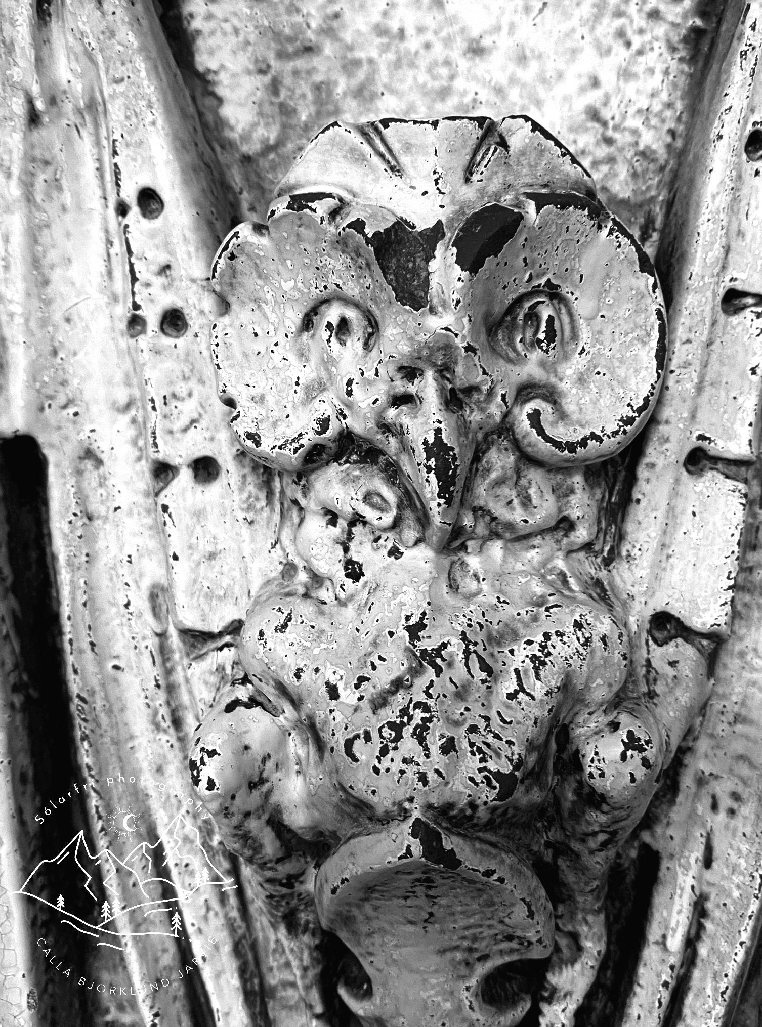stone owl at the Crescent Hotel photo print - black & white - original - limited edition - trave