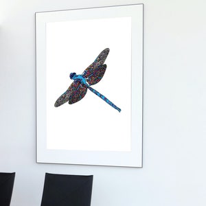 Bunte Libelle, handgezeichnete Illustration