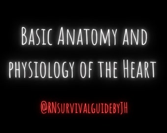 Hojas de estudio de anatomía y fisiología del corazón - Resumen de anatomía y fisiología del corazón hecho a mano (descarga digital)