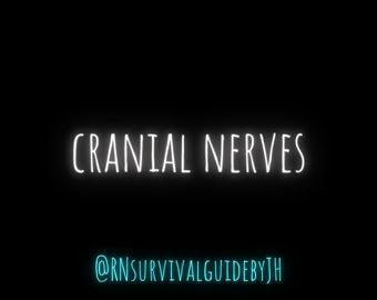 Cranial Nerves Study Sheet For Nursing Students - Patho/Fundamentals (DIGITAL DOWNLOAD)