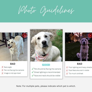 photo guidelines for custom pet layout blanket