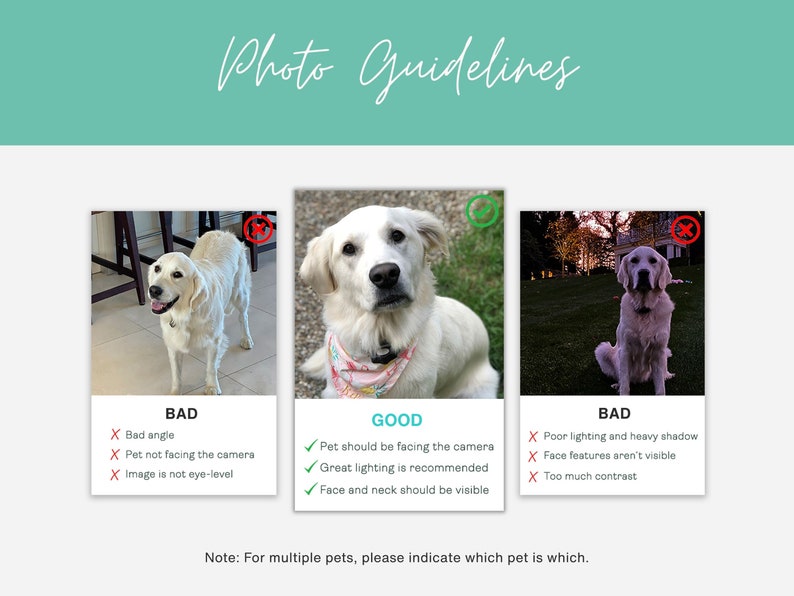 photo guidelines for custom pet layout blanket