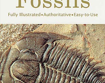 Golden Guide to Fossils- Brand New!