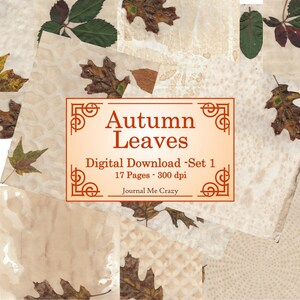 Autumn Leaves Set 1 - Digital