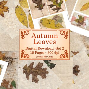 Autumn Leaves Set 2 - Digital