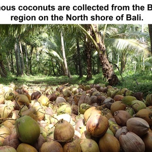 May include: A large pile of coconuts, some green and some brown, are gathered on the ground. The text at the top of the image reads: "Indigenous coconuts are collected from the Bulelung region on the North shore of Bali."