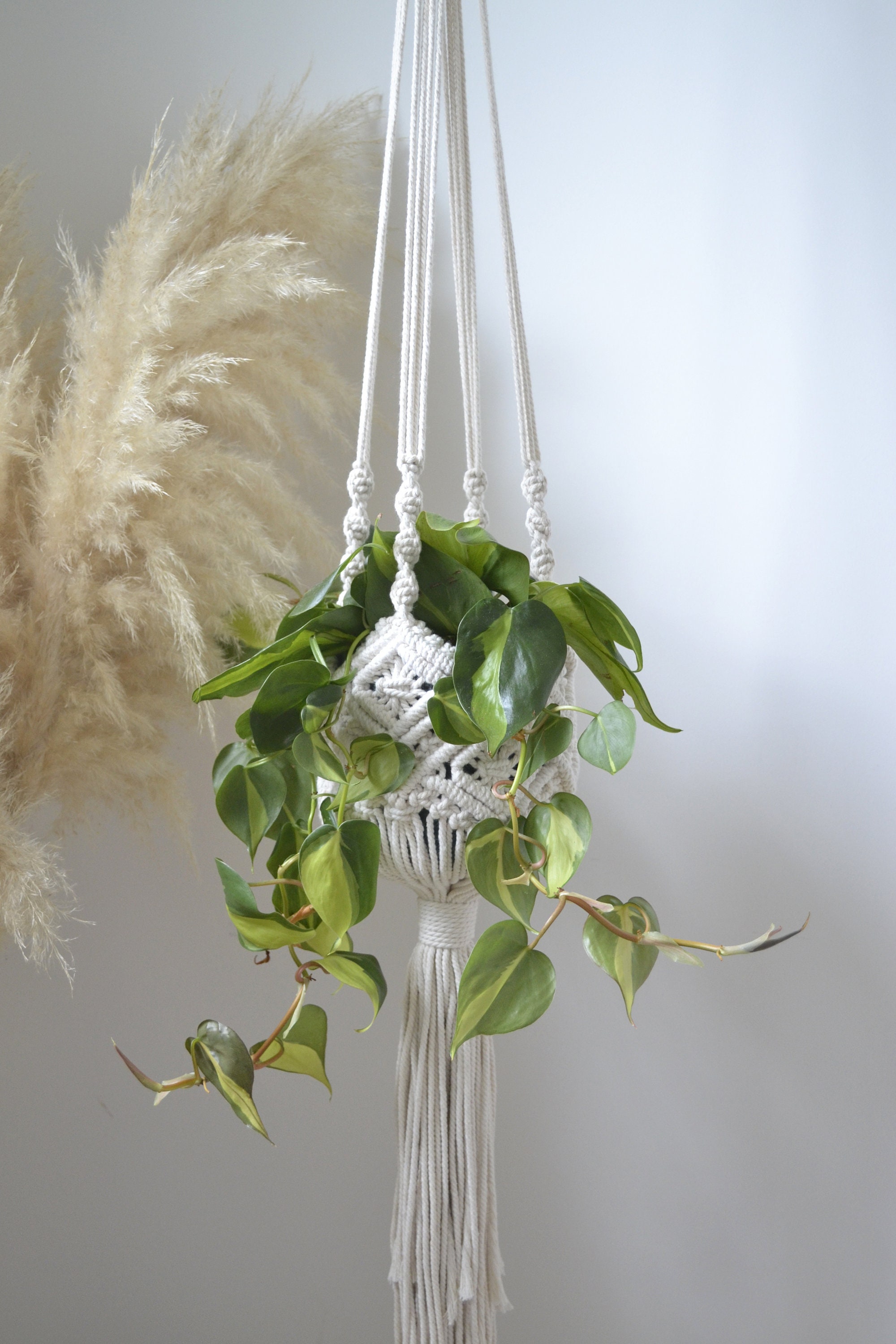 Luna - Suspension Pour Plante // Planthanger