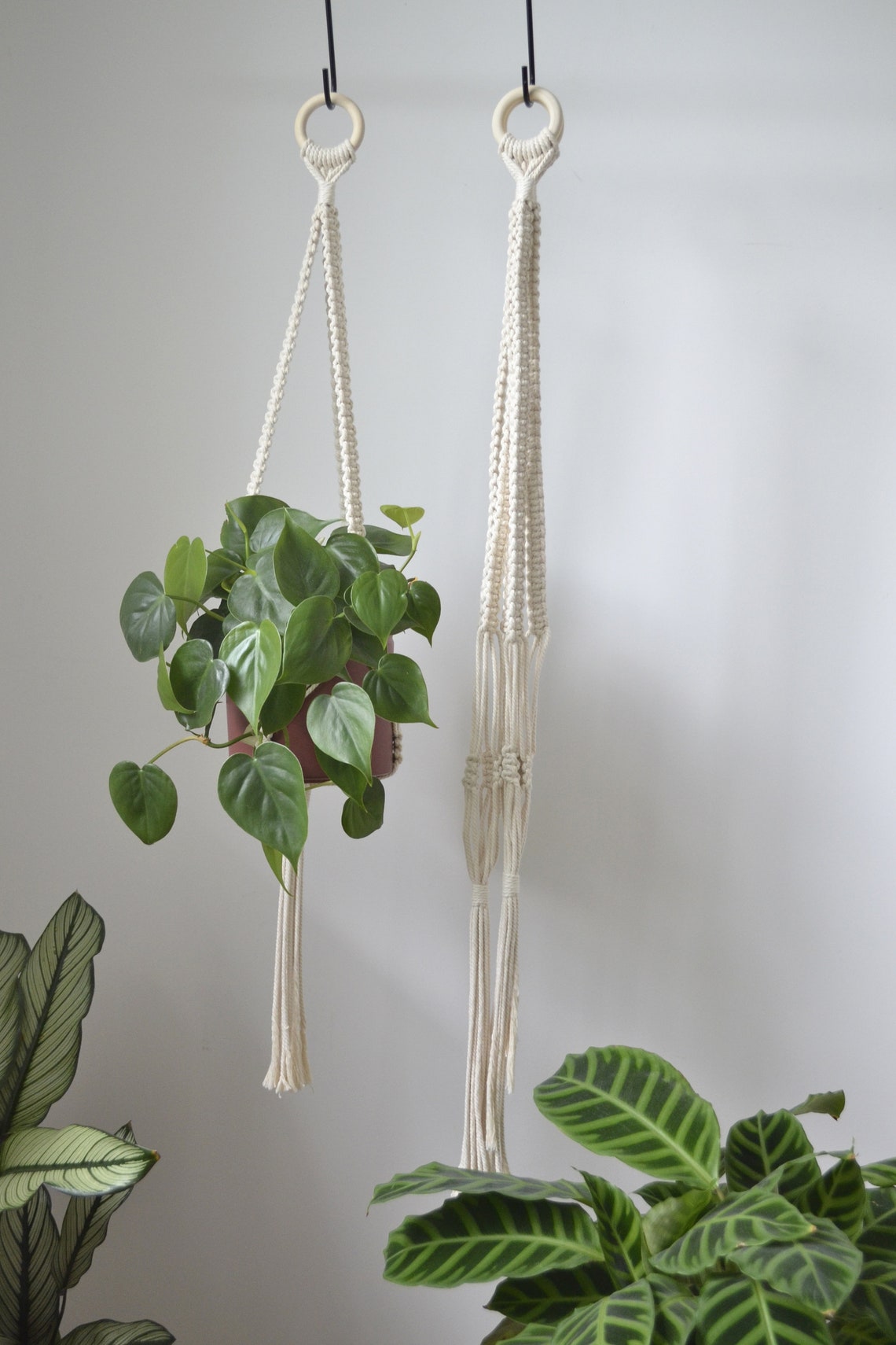 TIA plant suspension // plant hanger Etsy