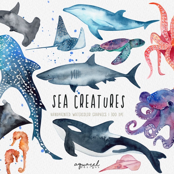 Watercolor SEA CREATURES | Clipart, whale shark, killer whale, dolphin, octopus, manta ray, sea horse, turtle, squid, hammerhead shark, PNG