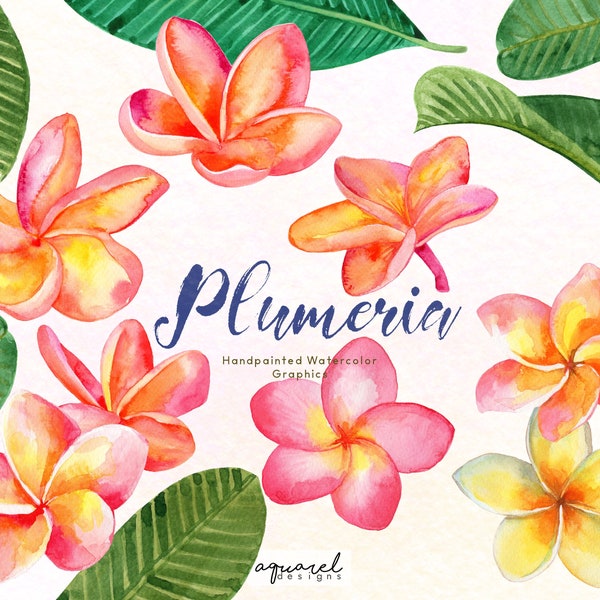 Aquarelle peinte à la main de Plumeria, frangipanier orange et rose, fleurs tropicales hawaïennes, téléchargement numérique PNG