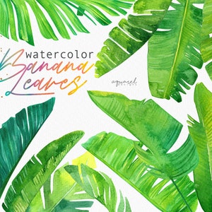 Bananenblätter Aquarell, tropische Blätter Clipart, tropische Einladungen, Strandhochzeit, Aquarell Blätter, DIGITAL DOWNLOAD, PNG