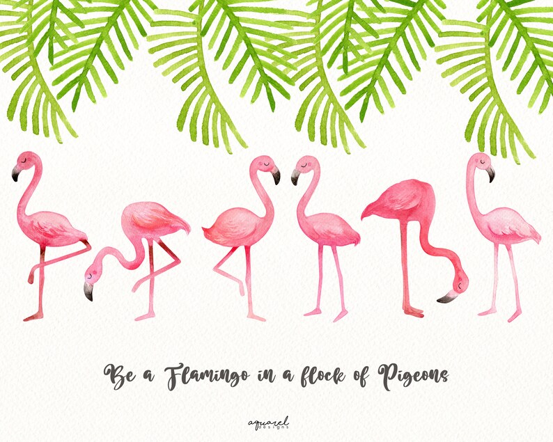 Download Watercolor Flamingo Clipart Digital Instant Download Png Files Flamingo Nursery Art Watercolor Summer Floral Clipart Clip Art Art Collectibles Kromasol Com