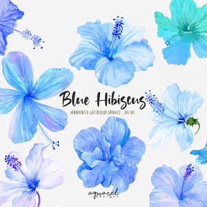 BLAUE HIBISKUS, Aquarell Hibiskusblume, Tropische Blume, exotische Blumen, digitaler Download PNG