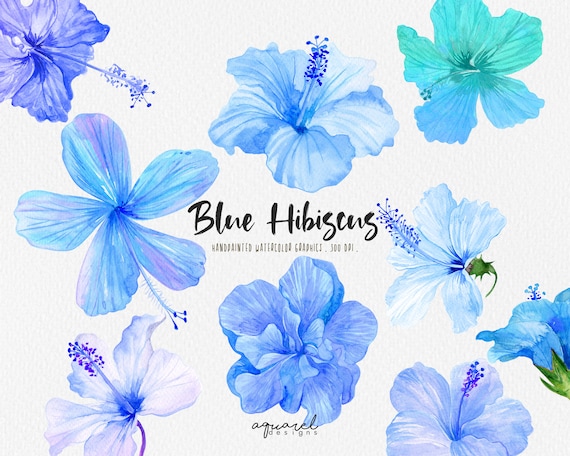 BLUE HIBISCUS Watercolor Hibiscus Flower Tropical Flower Exotic