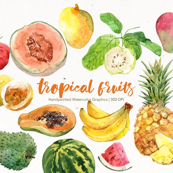 TROPICAL FRUITS | Watercolor Clipart, Tropical Fruits, Summer, Printable, Digital art, Scrapbooking, Exotic fruit, sticker, illustration PNG