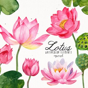 Lotus aquarel bloemen clipart, waterlelies, bruids douche, planner ontwerp, huwelijksuitnodiging, bloemen, lente clipart, bloem clipart