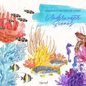 Watercolor TROPICAL CORAL REEF fish Clipart | colorful fish clipart, reef fish, sea clipart, Ocean life, Sea animals, Under the Sea, Anemone