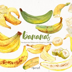BANANE | Aquarell Clipart, Tropische Früchte, Sommer, Strand, druckbar, Digitale Kunst, Scrapbooking, Exotische Früchte, Aufkleber, Illustration PNG