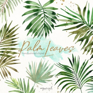 Aquarel palmbladeren handgeschilderde ClipArt - tropisch palmblad illustraties voor instant download, groen blad, exotisch groen