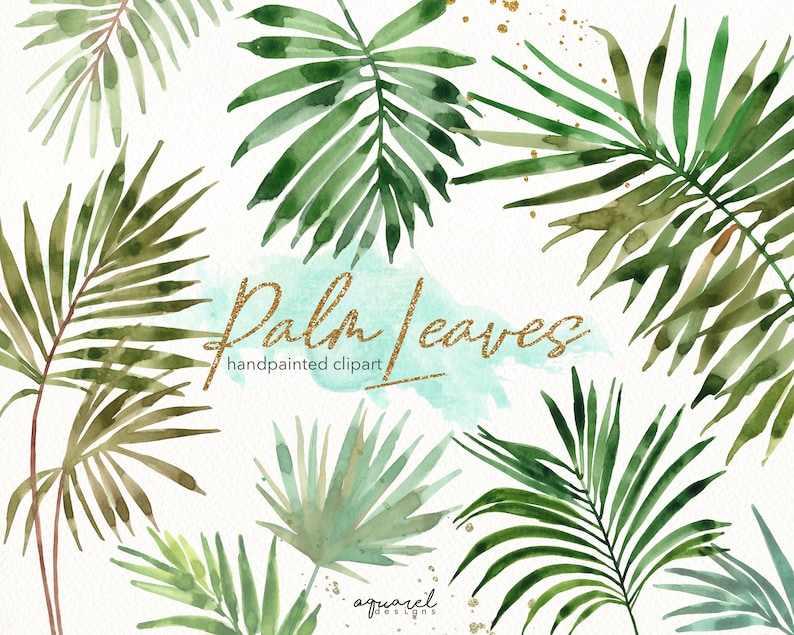 Watercolor Palm Leaves Hand Painted Clipart Tropical Palm - Etsy