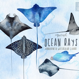 Aquarell Manta Rochen Clipart, Stachelrochen, Aquarell Illustration, Unterwasser Clipart, Meerestiere, digitaler Download, PNG