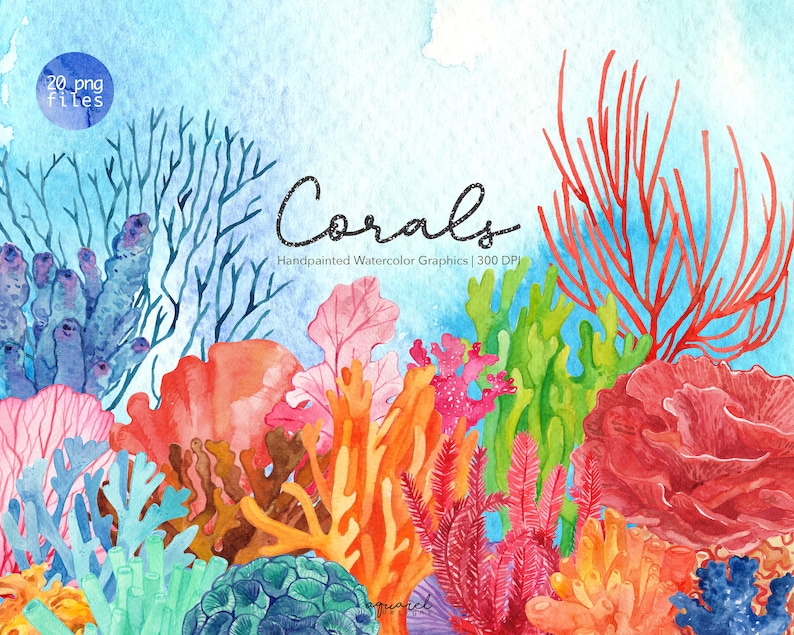 Watercolor Coral Reef Clipart Under the Sea clipart, Coral Reef Clipart, Ocean Clipart, Sea Coral Clipart, Anemone, Sea life clipart, PNG image 1