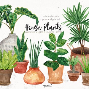 Kamerplanten clipart, aquarel kamerplanten, aquarel bladeren, groenkunst, kamerplant print, potplant clipart, plant artwork, png
