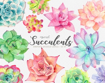 Watercolor Succulents, Succulent Clipart, Cactus Clipart, Succulent Arrangements, Wedding Florals, Wedding Invitations, Hand painted, PNG