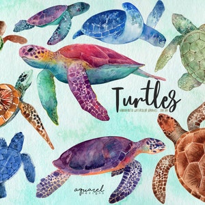Watercolor SEA TURTLES clipart, baby showers, nursery decor, wall art, turtle print, sea creatures, baby turtle, marine clipart,PNG