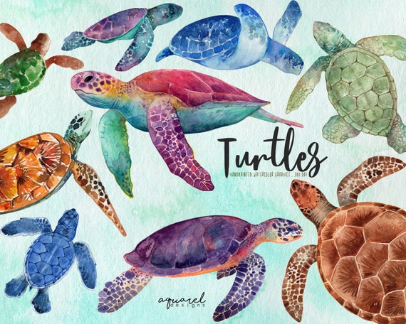 Watercolor Sea Turtles Clipart Baby Showers Nursery Decor - Baby Sea Turtles Wall Decals Watercolor Sea Turtles Clipart Baby Showers Nursery Decor - Baby Sea Turtles Wall Decals